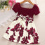 Maroon Princess Party Dress for girls